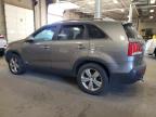 Lot #3312435620 2013 KIA SORENTO EX