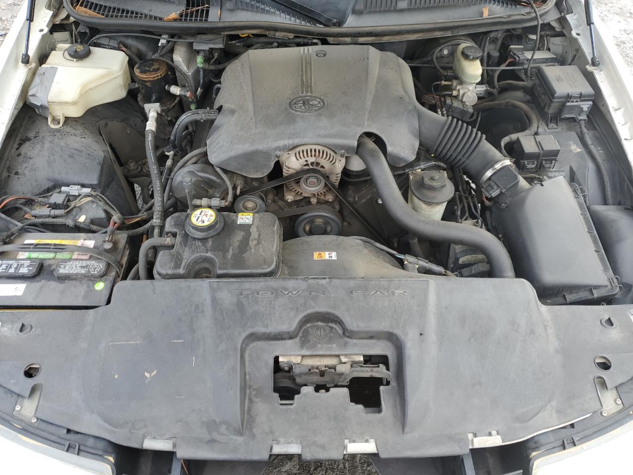 Lot #3284029846 2002 LINCOLN TOWN CAR S