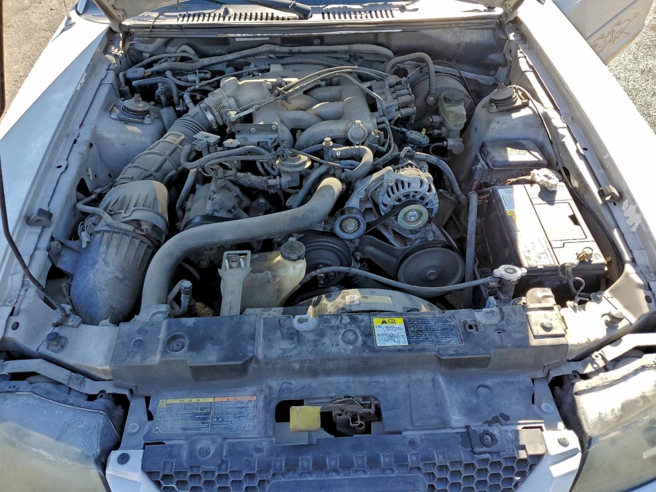 Lot #3297460192 2002 FORD MUSTANG