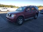 Lot #3312675174 2005 NISSAN PATHFINDER