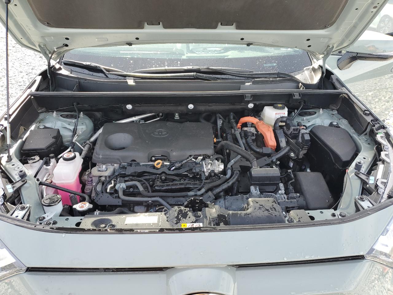 Lot #3302913061 2023 TOYOTA RAV4 XLE P