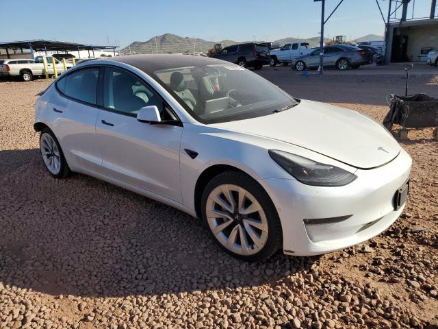 2022 TESLA MODEL 3 #3304169451