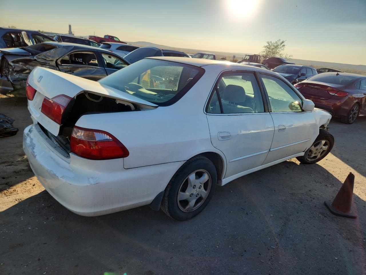 Lot #3290239219 1999 HONDA ACCORD EX