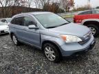 Lot #3305323329 2009 HONDA CR-V EXL