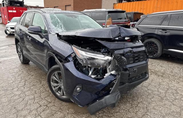 Global Auto Auctions: 2024 TOYOTA RAV4 XLE