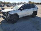 Lot #3303720418 2023 TOYOTA RAV4 XSE