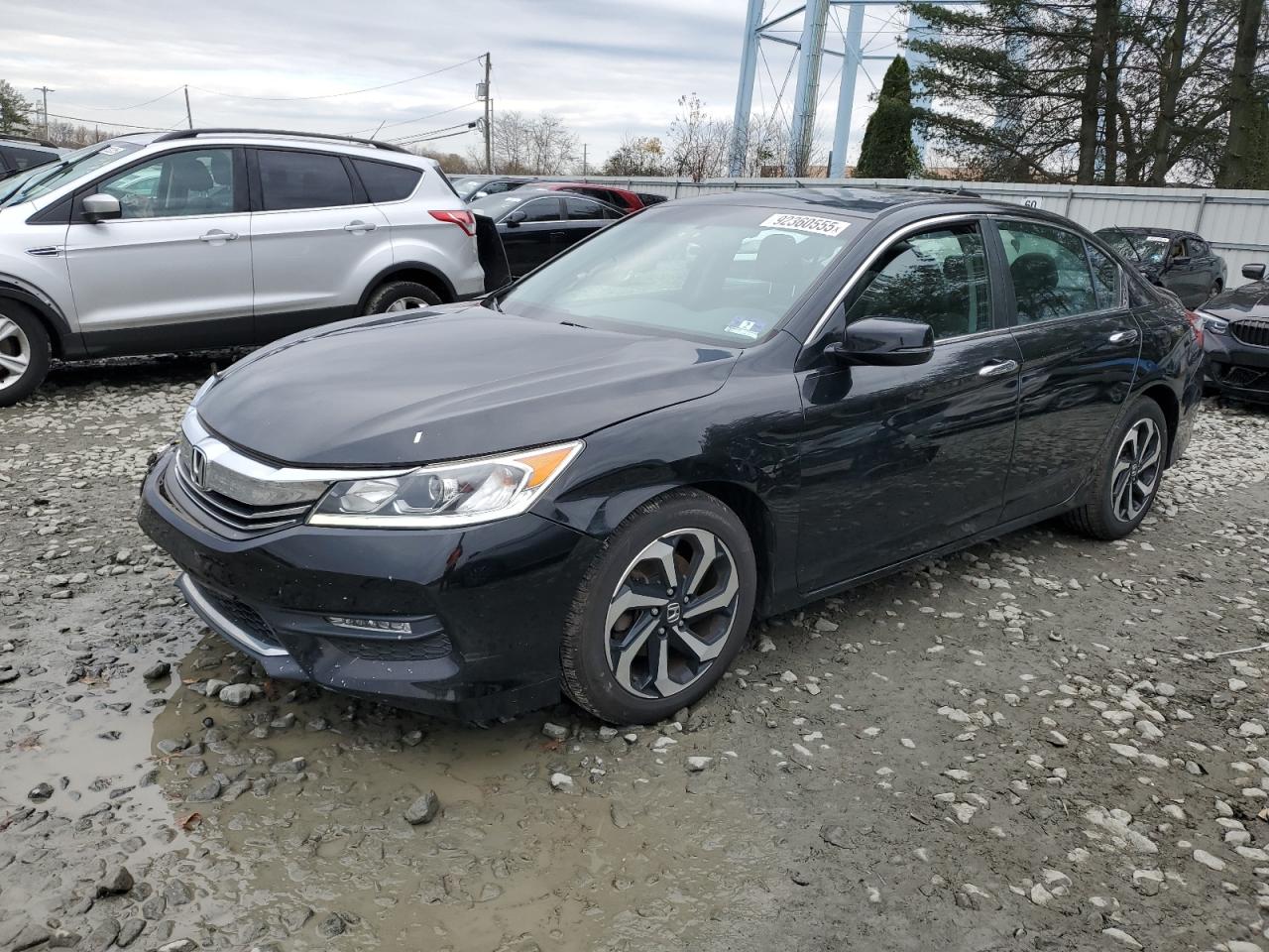 HONDA ACCORD EXL