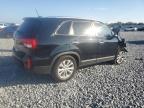 Lot #3305422452 2014 KIA SORENTO EX