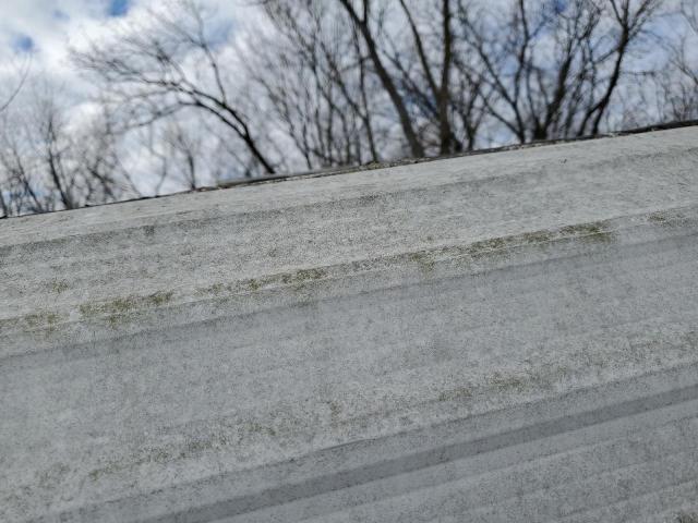 1998 FLEE MALLARD #3302770373