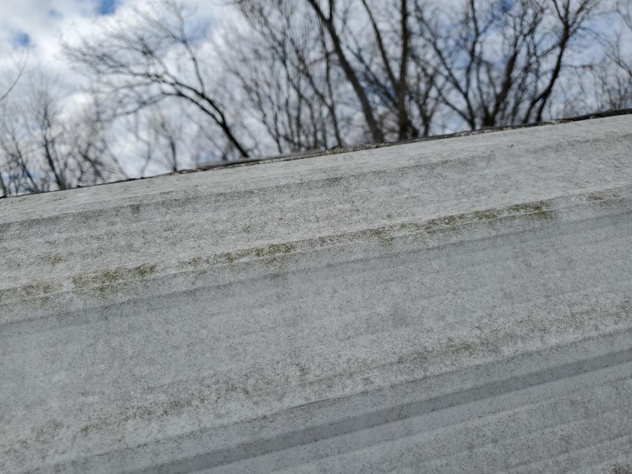 Lot #3302770373 1998 FLEE MALLARD