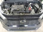 Lot #3293340462 2024 TOYOTA RAV4 LE