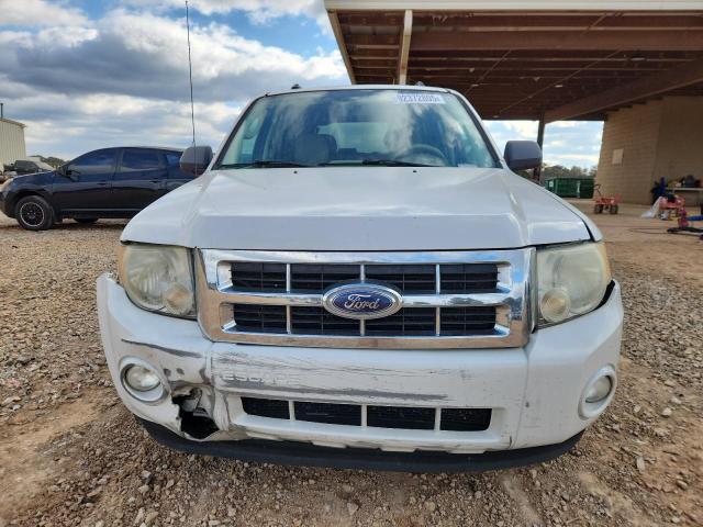 2009 FORD ESCAPE XLT #3284779551