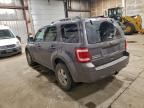 Lot #3296955863 2011 FORD ESCAPE XLT