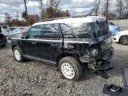 Lot #3304766952 2024 FORD BRONCO SPO