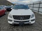 Lot #3296210445 2014 MERCEDES-BENZ ML 350