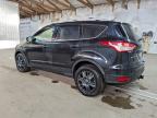 Lot #3312306772 2013 FORD ESCAPE TIT