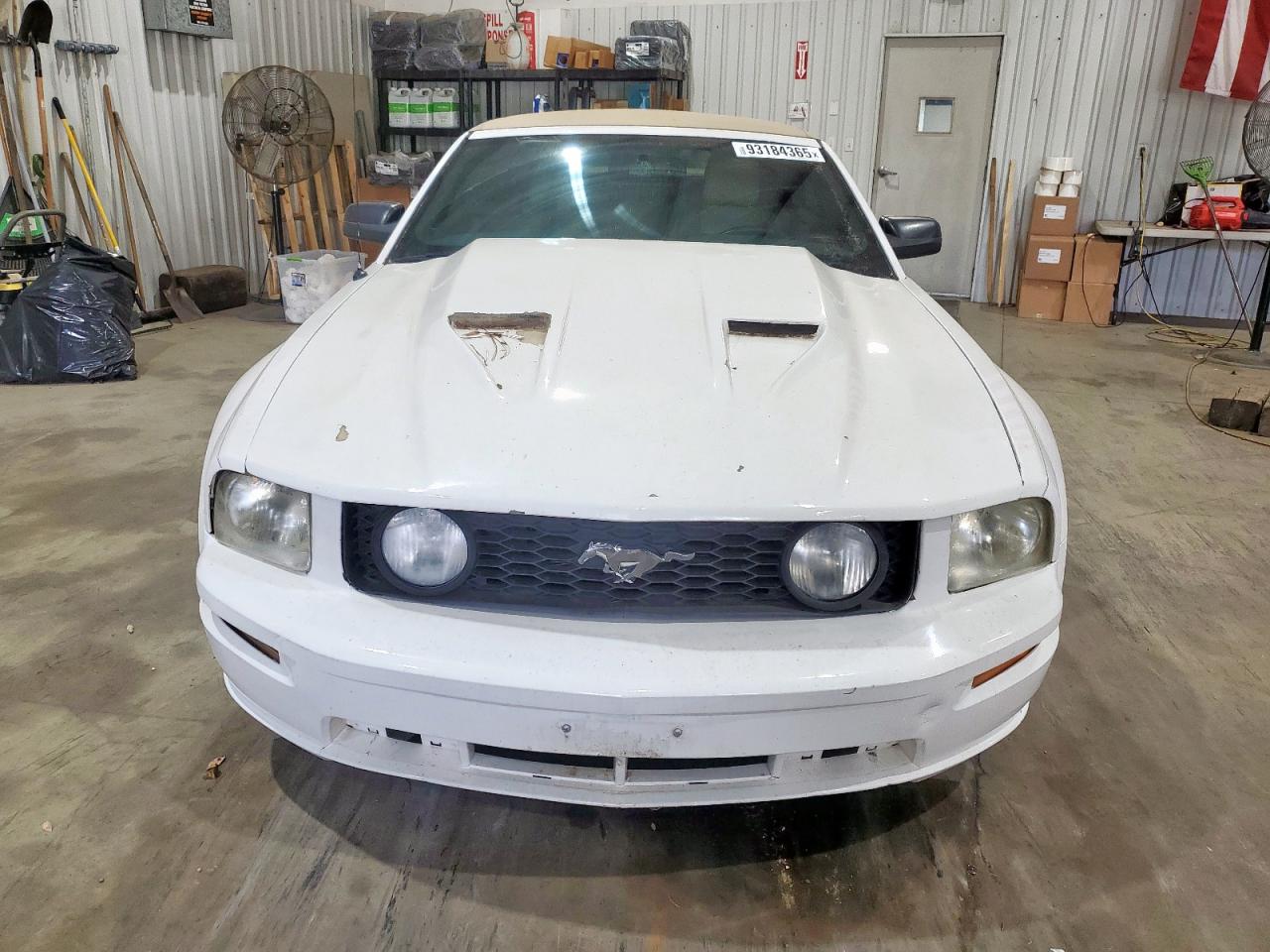 Lot #3290185245 2007 FORD MUSTANG GT