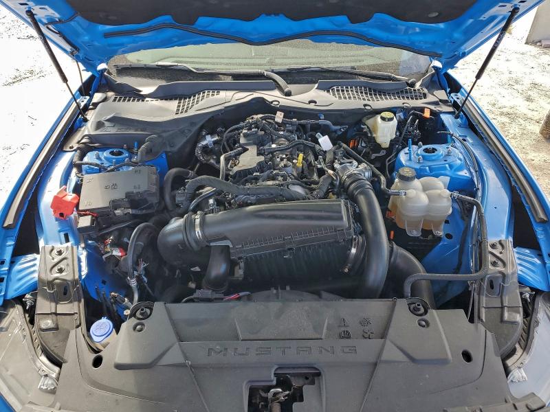 2024 FORD MUSTANG #3303764418