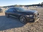 Lot #3292578869 2015 FORD MUSTANG
