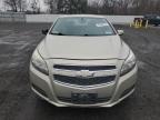 Lot #3310323961 2013 CHEVROLET MALIBU 1LT