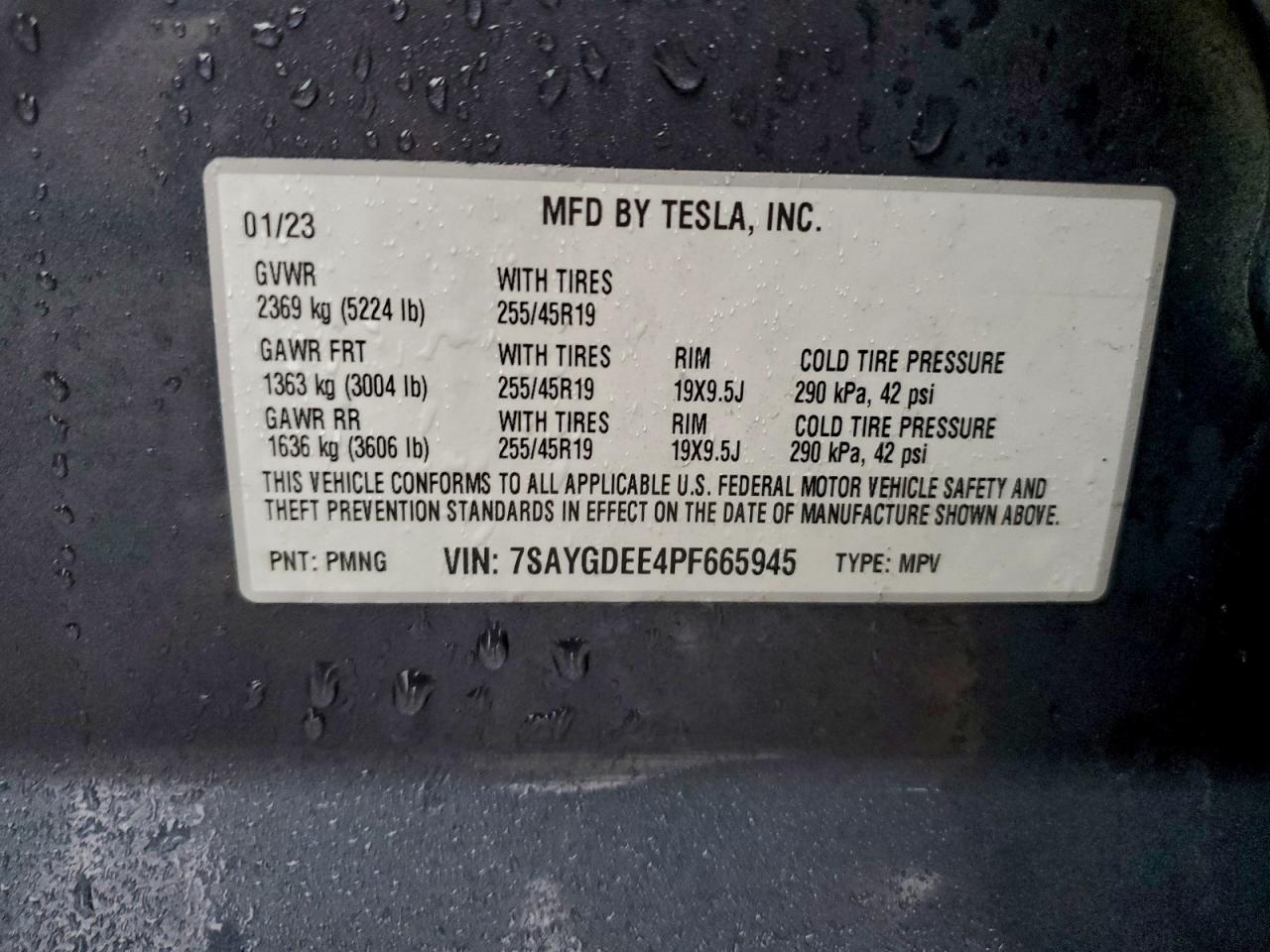 Lot #3301818347 2023 TESLA MODEL Y