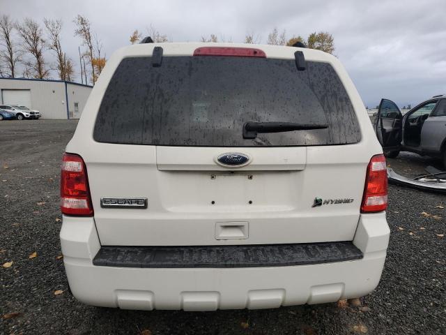 2010 FORD ESCAPE HYB - 1FMCU5K38AKC05671