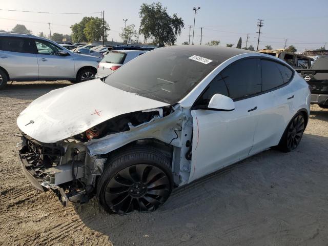 2023 TESLA MODEL Y #3304025527