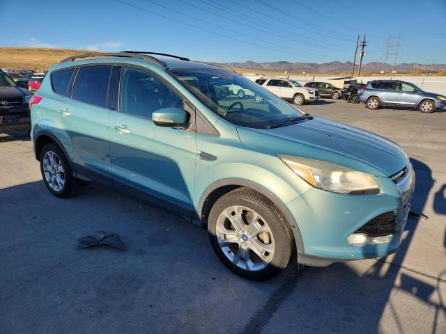 2013 FORD ESCAPE SEL - 1FMCU0HX7DUD69869