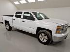 Lot #3305424447 2014 CHEVROLET SILVERADO