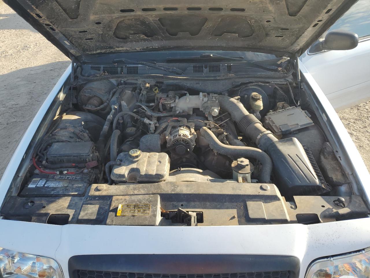 Lot #3285818911 2008 FORD CROWN VICT