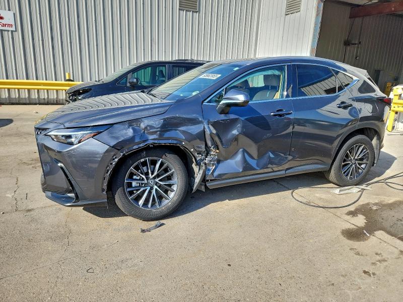 2024 LEXUS NX 250 PRE #3304715939