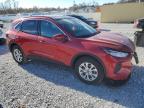 Lot #3310617285 2023 FORD ESCAPE ACT