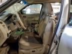 Lot #3312521656 2008 FORD ESCAPE XLT