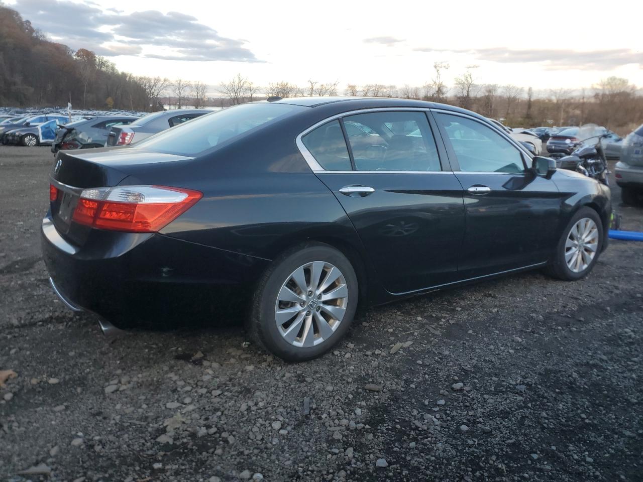 Lot #3316716426 2013 HONDA ACCORD EXL