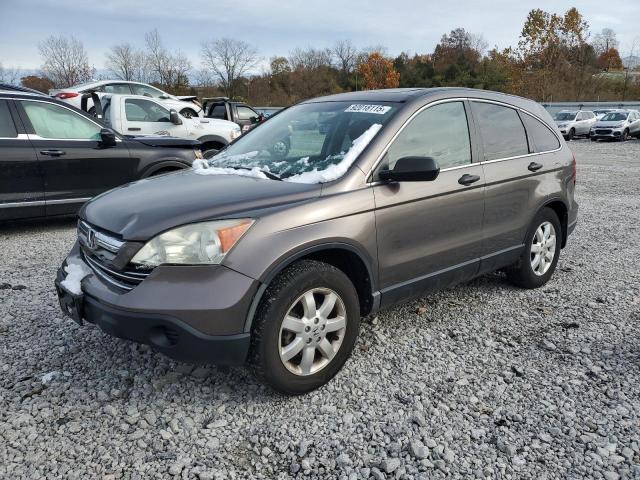 Global Auto Auctions: 2009 HONDA CR-V EX