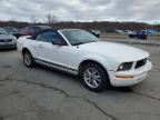 Lot #3292300277 2008 FORD MUSTANG