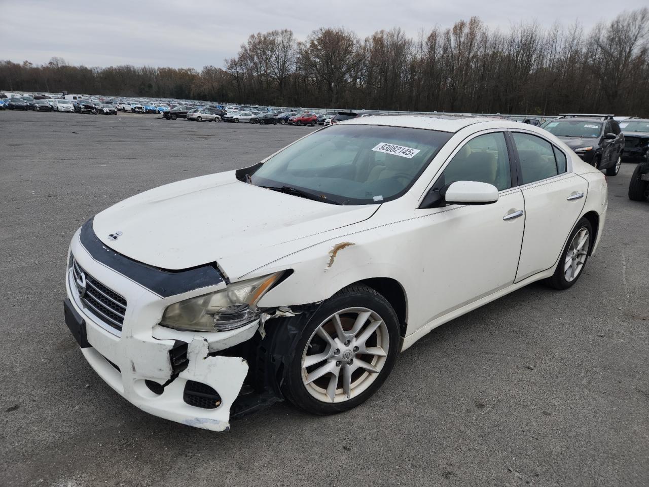 Lot #3291333139 2009 NISSAN MAXIMA S