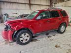 Lot #3303873693 2011 FORD ESCAPE XLT