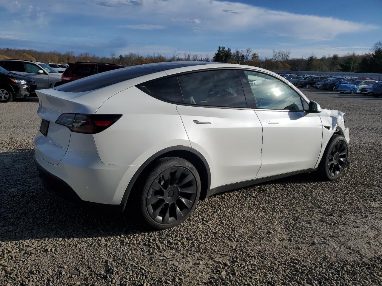 Lot #3302759387 2025 TESLA MODEL Y