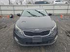 Lot #3309577616 2014 KIA OPTIMA