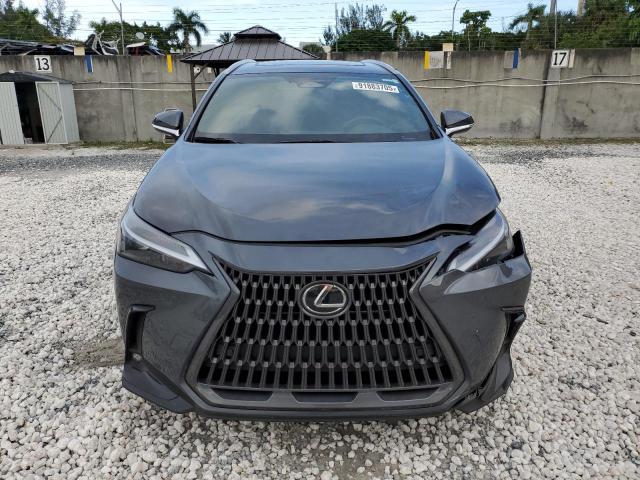 2025 LEXUS NX 250 BAS #3302798942