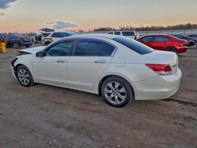 2010 HONDA ACCORD EXL #3305411299