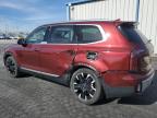 Lot #3294403518 2023 KIA TELLURIDE