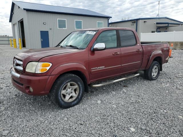 Global Auto Auctions: 2004 TOYOTA TUNDRA DOU