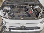 Lot #3316089235 2025 TOYOTA RAV4 XLE P