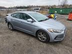 Lot #3294535629 2017 HYUNDAI ELANTRA SE