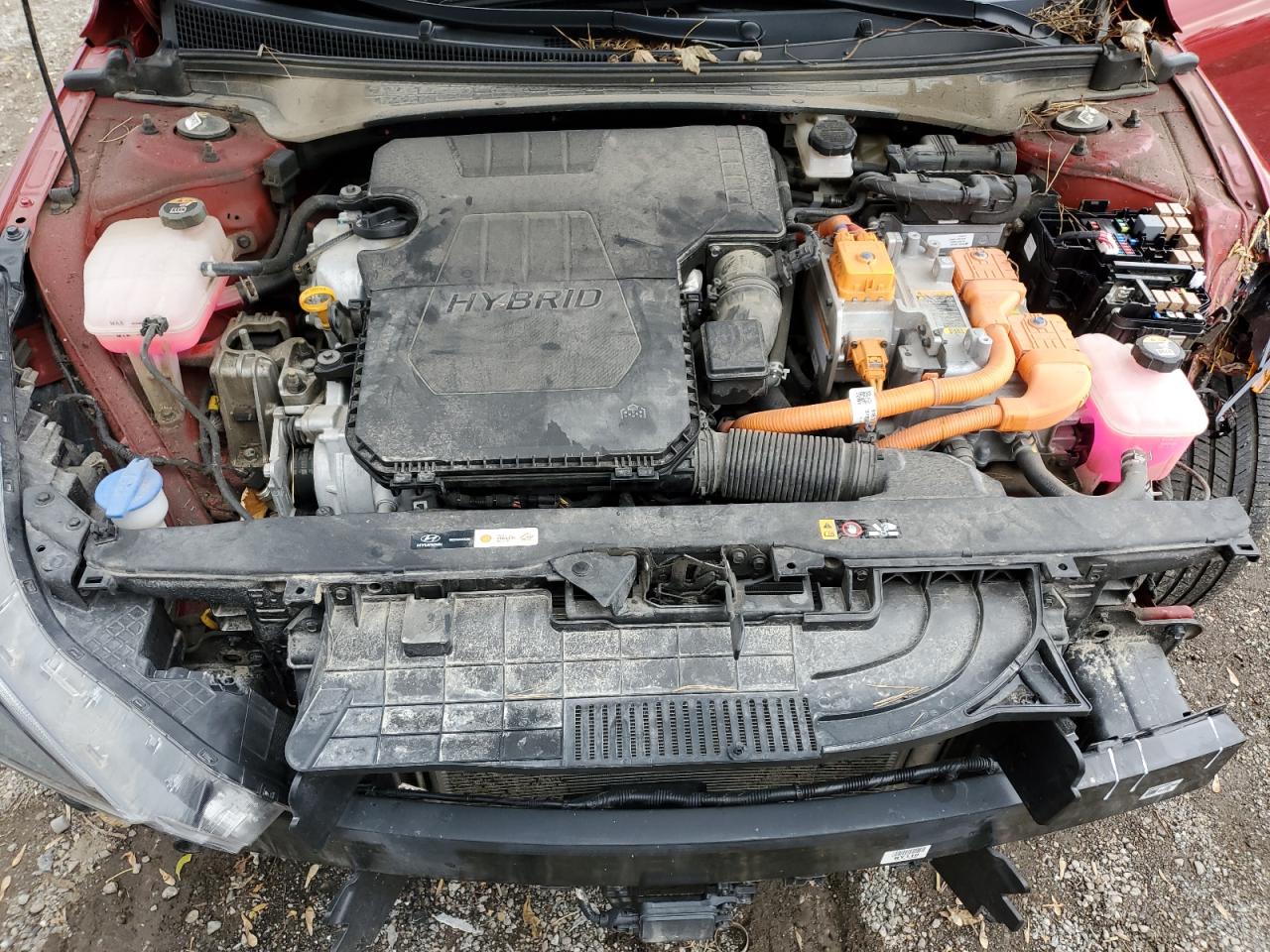 HYUNDAI ELANTRA LIMITED