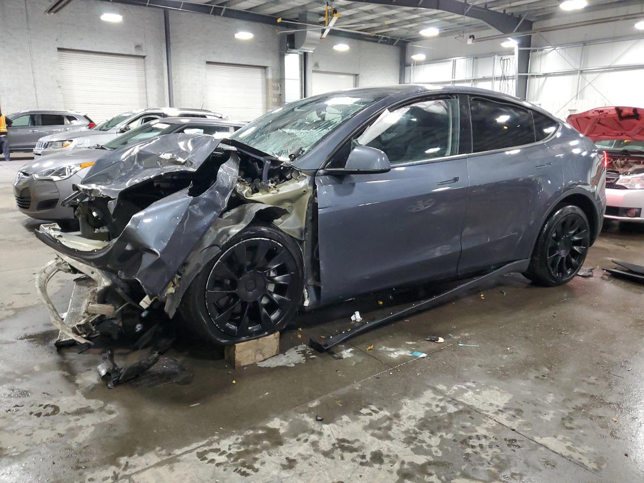Lot #3303618928 2023 TESLA MODEL Y
