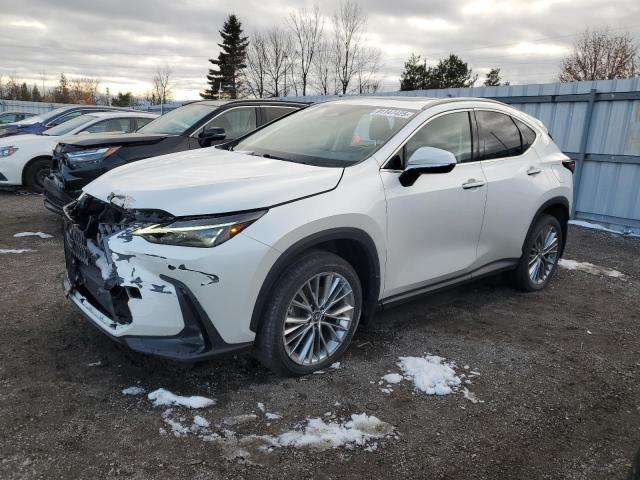 Global Auto Auctions: 2022 LEXUS NX 350