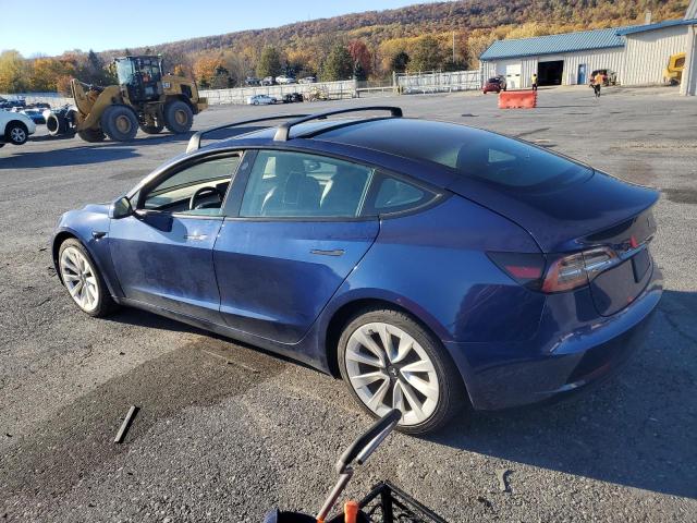 2023 TESLA MODEL 3 #3284629388